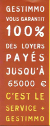 Graphisme site Gestimmo